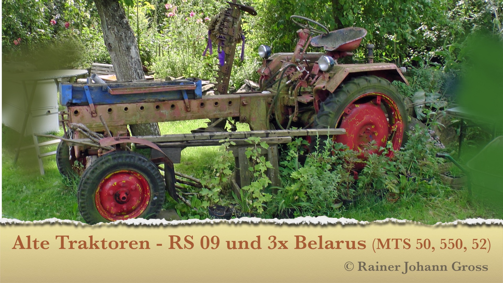 Alte%20Traktoren%20 %20RS09%20%28Molly%29%20und%203x%20Belarus%20%28MTS%2050,%20550,%2052%29%20b